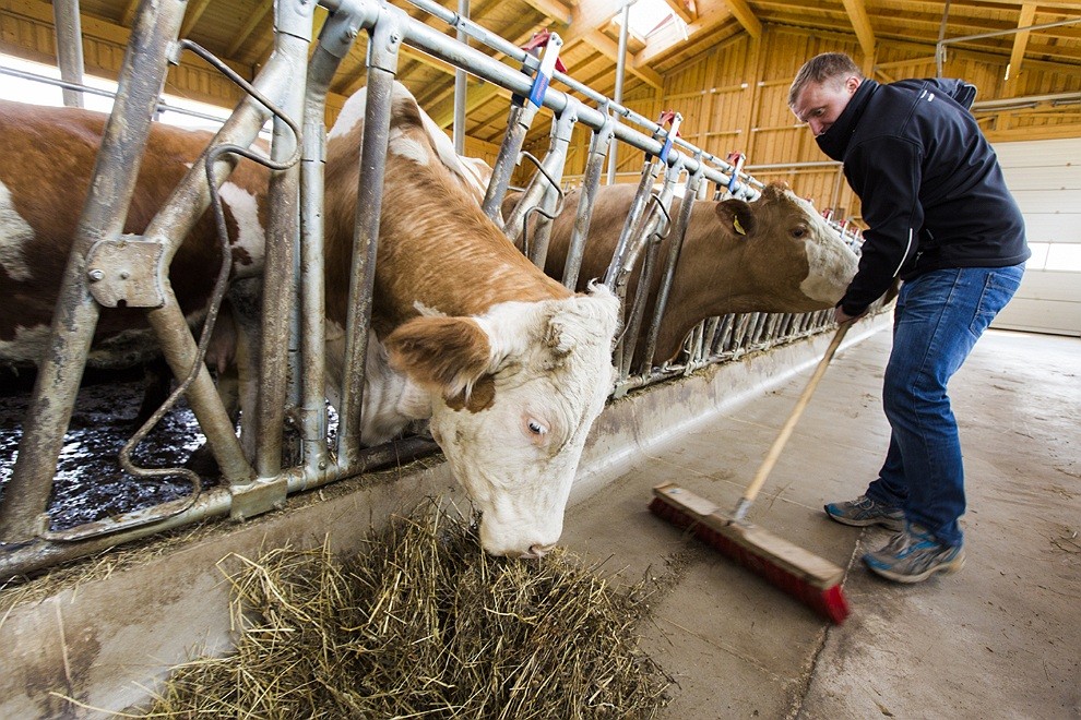 2015-Schilling-Ref-Schlatzer-010-003