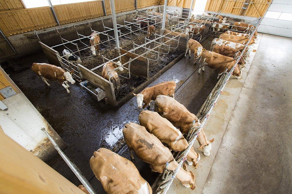 2015-Schilling-Ref-Schlatzer-050-015